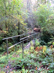 Oct 2013: 5C footbridge